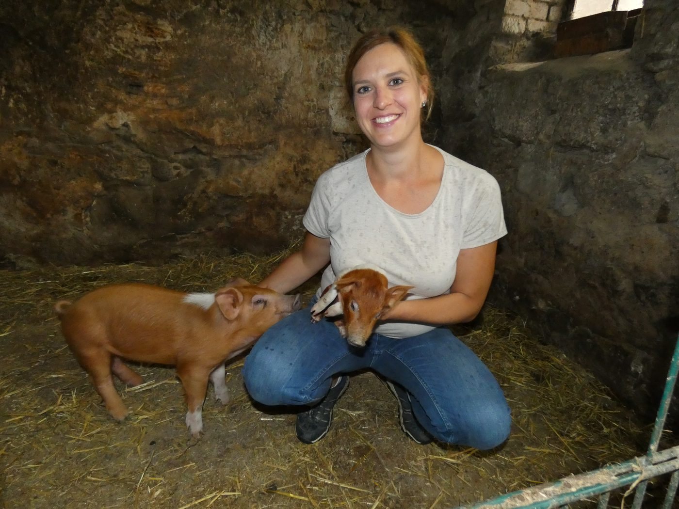 Franzi mit Ferkeln im Stall